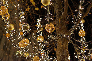 Happy-Holidays-Springs