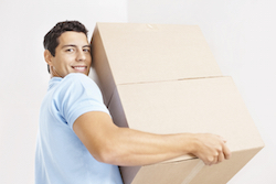 Basic-Apartment-Supplies 