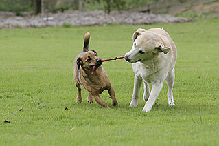 getting-along-with-apartment-neighbords