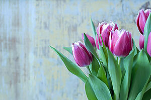 give-your-apartment-spring-time-lift