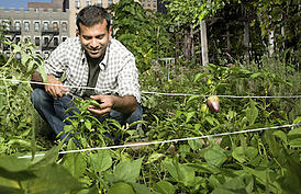 Corpus-Christi-Community-Gardens