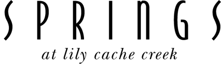 Lily-Cache-Creek-Black-Word-Logo