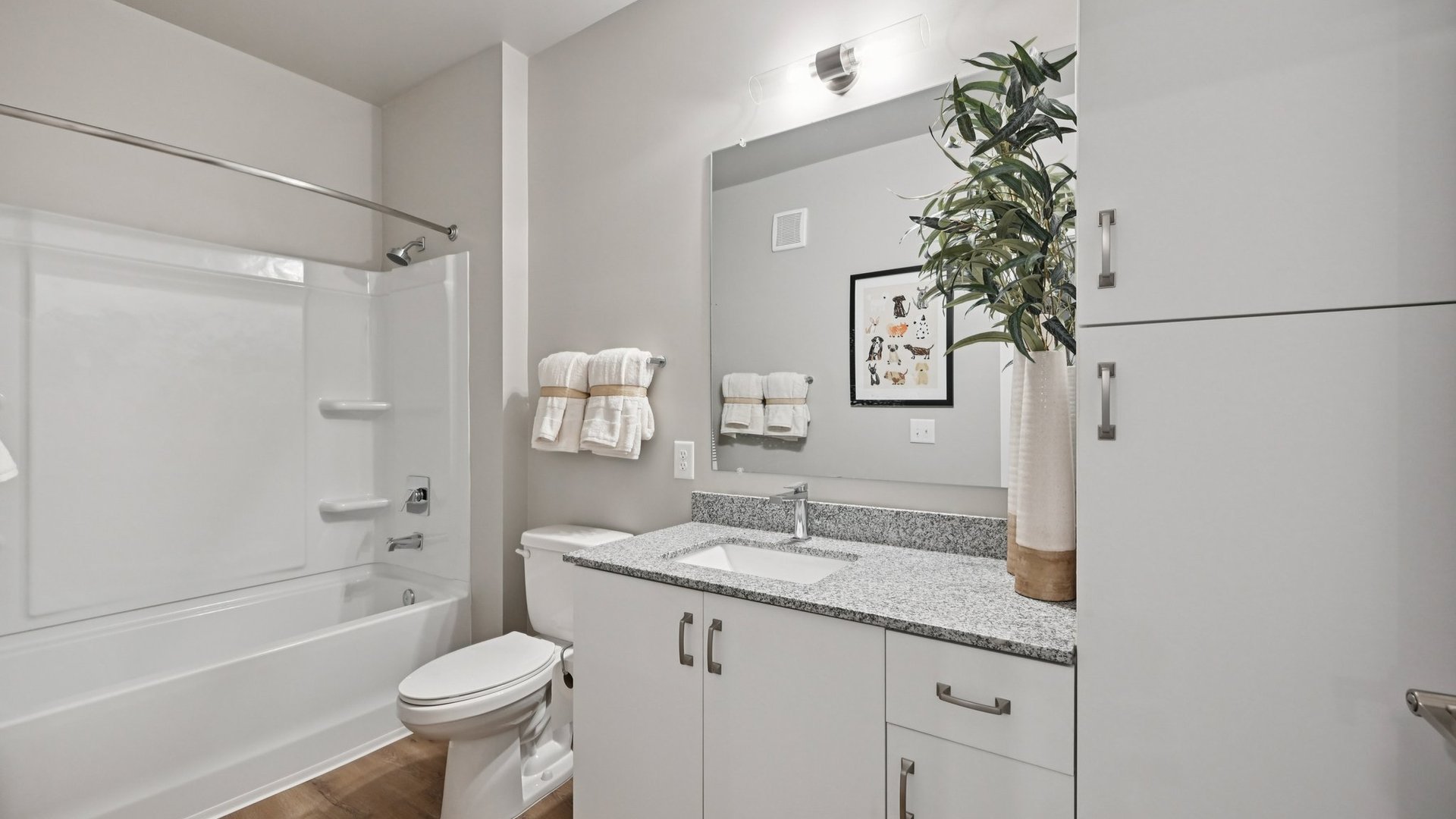 Springs at Locust Grove Bathroom (4)