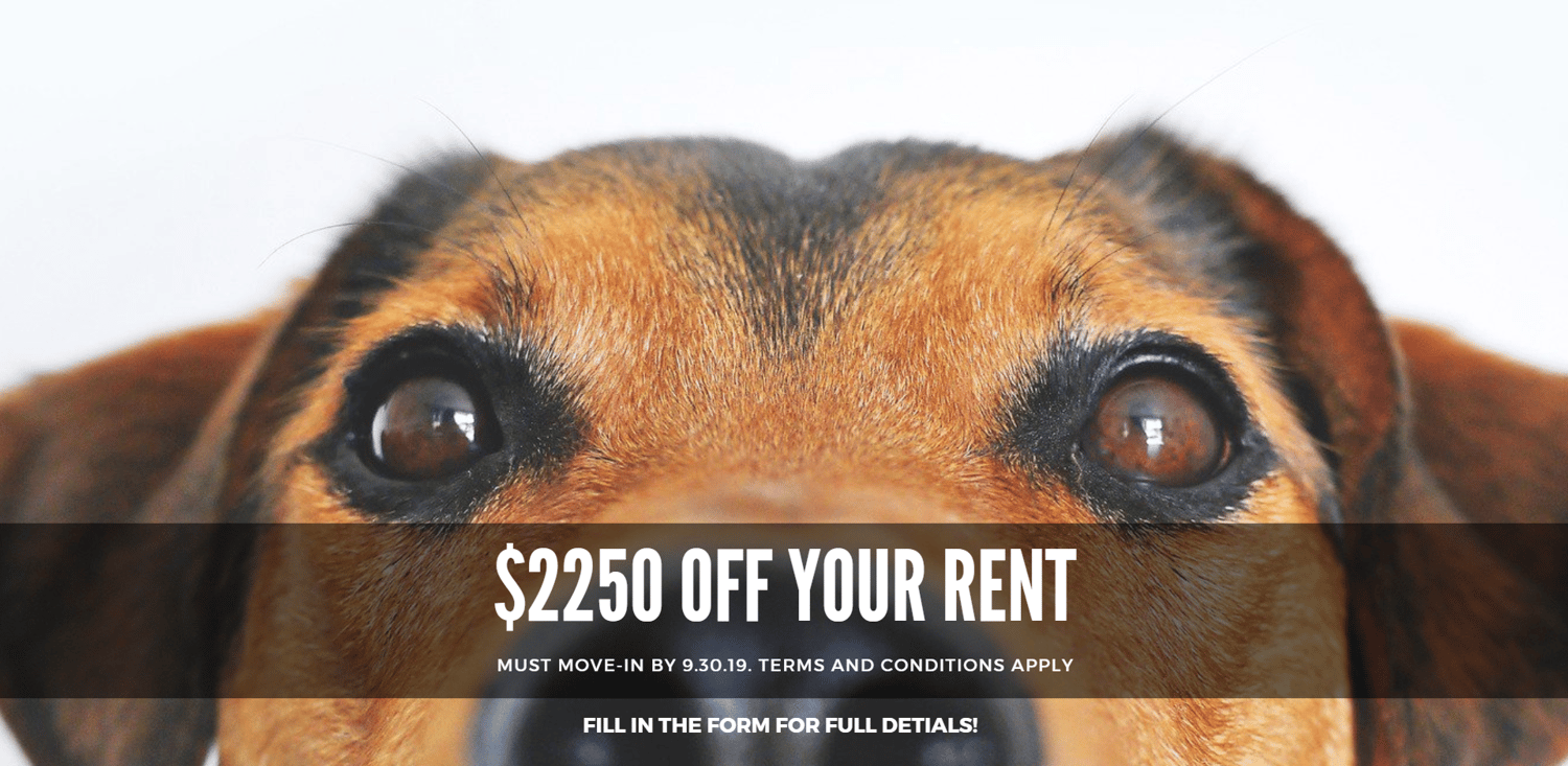 South Elgin, IL Luxury Apartments for Rent Springs at South Elgin