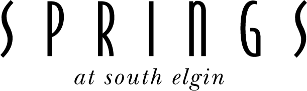 South-Elgin-Black-Word-Logo