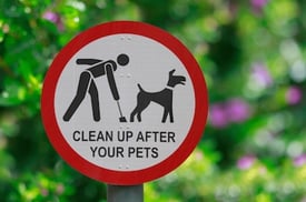 pet-waste-management