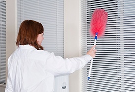 Cleaning_Blinds