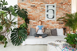 Decorating Your Apartment with Faux Plants