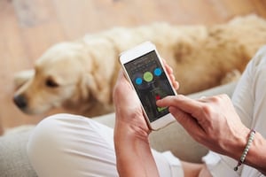 Digital-Apps-Pet-Owners