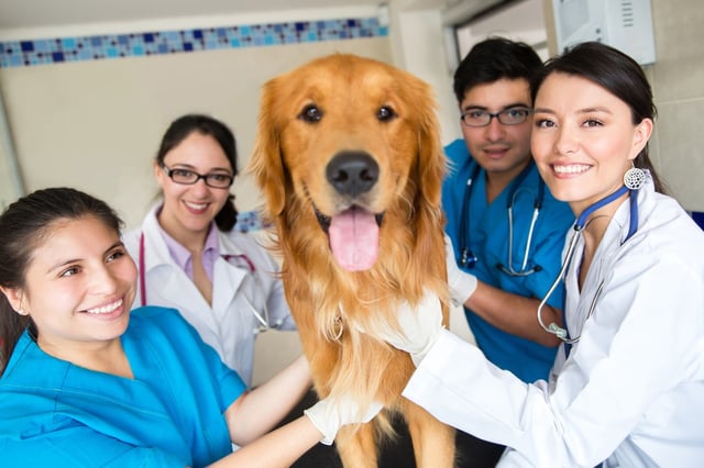 Group of doctors at the vet with a cute dog.jpeg