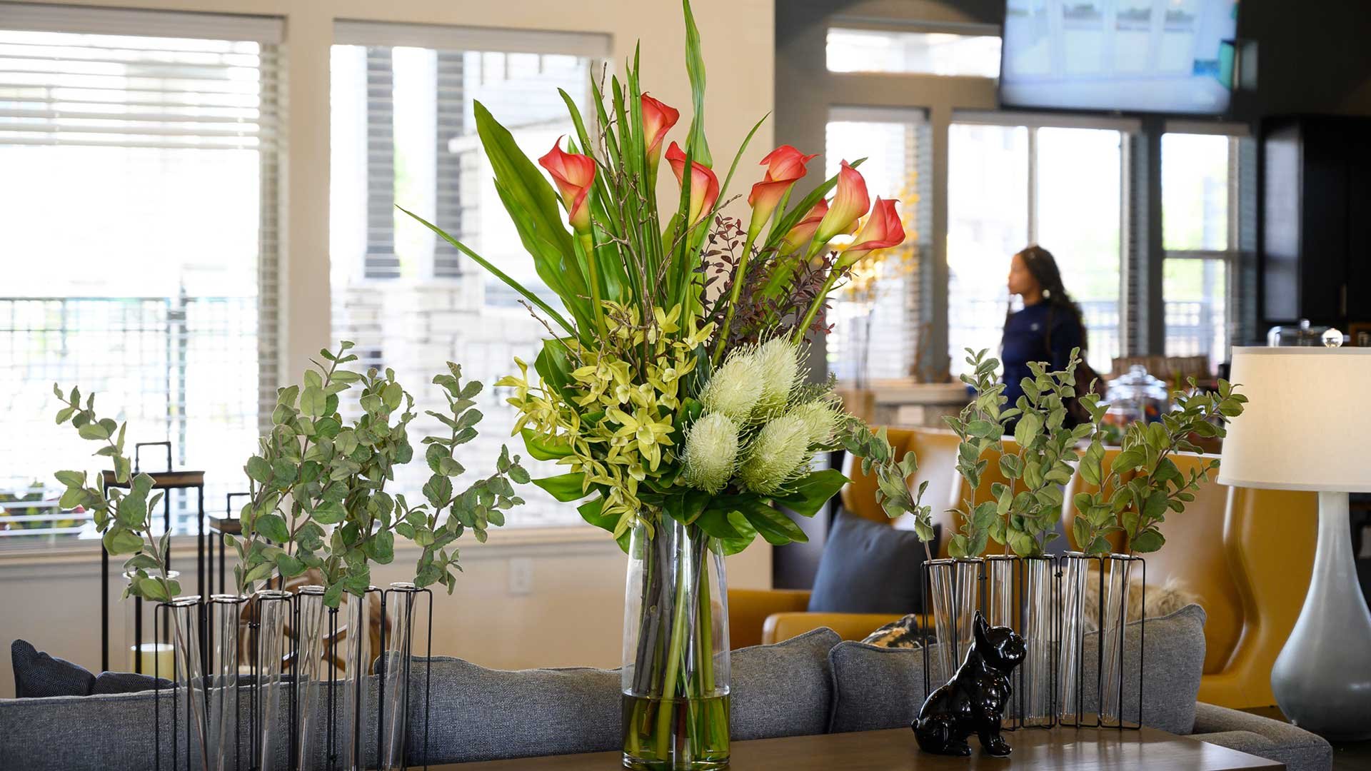 Springs at Eastmark Apartments in Mesa, AZ Schedule a Tour