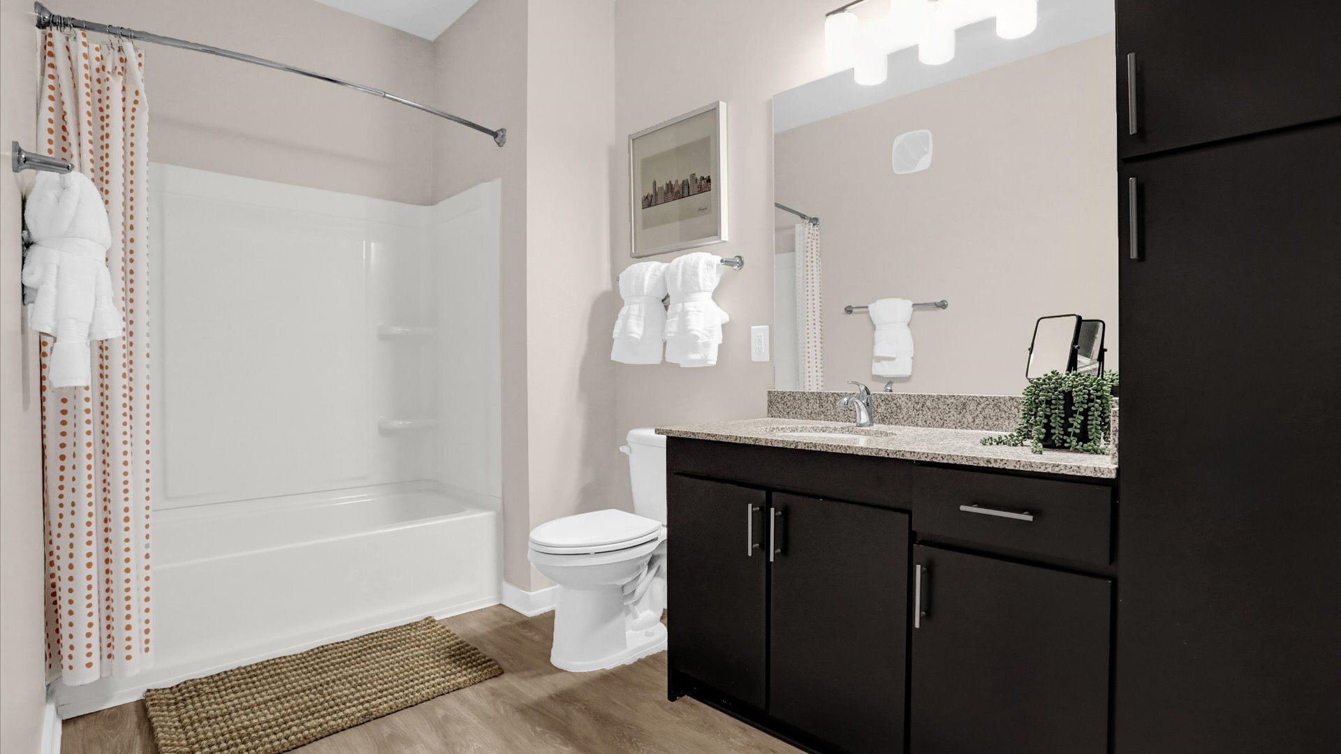 Springs at Colonial Bathroom (1)