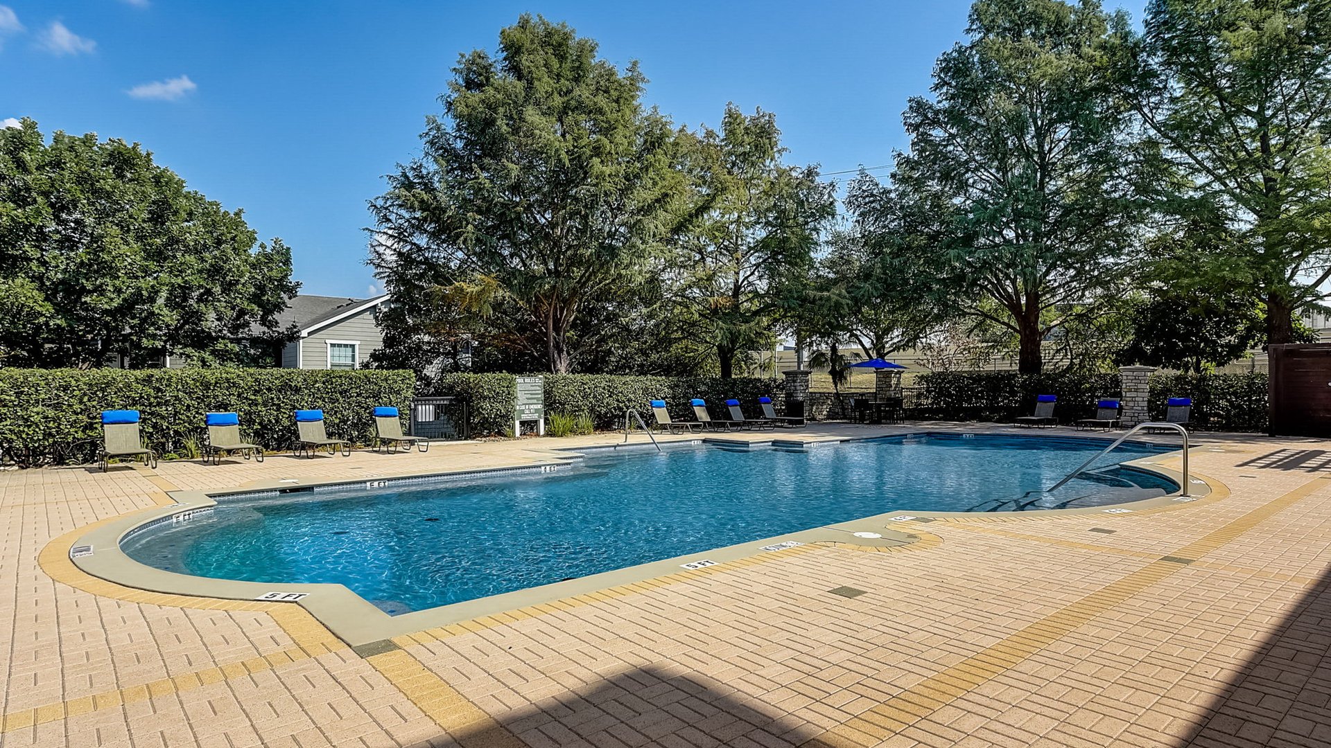 Resort style pool at Springs at Live Oak Apartments