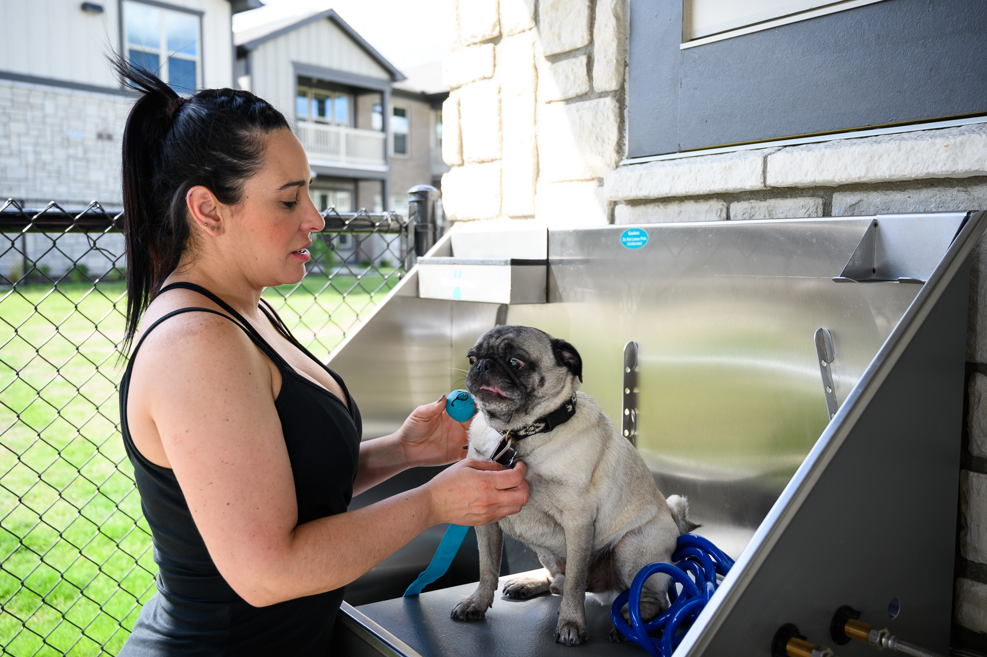 Pet wash station with cute pug and lady giving her dog a bath at Springs at Newnan Townhome Style Apartments in Newnan Georgia. 