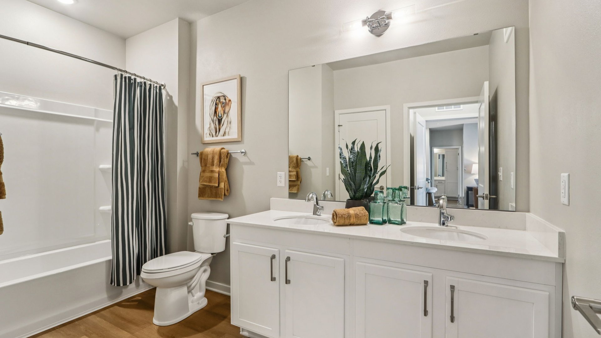 Springs at Mount Pleasant Bathroom