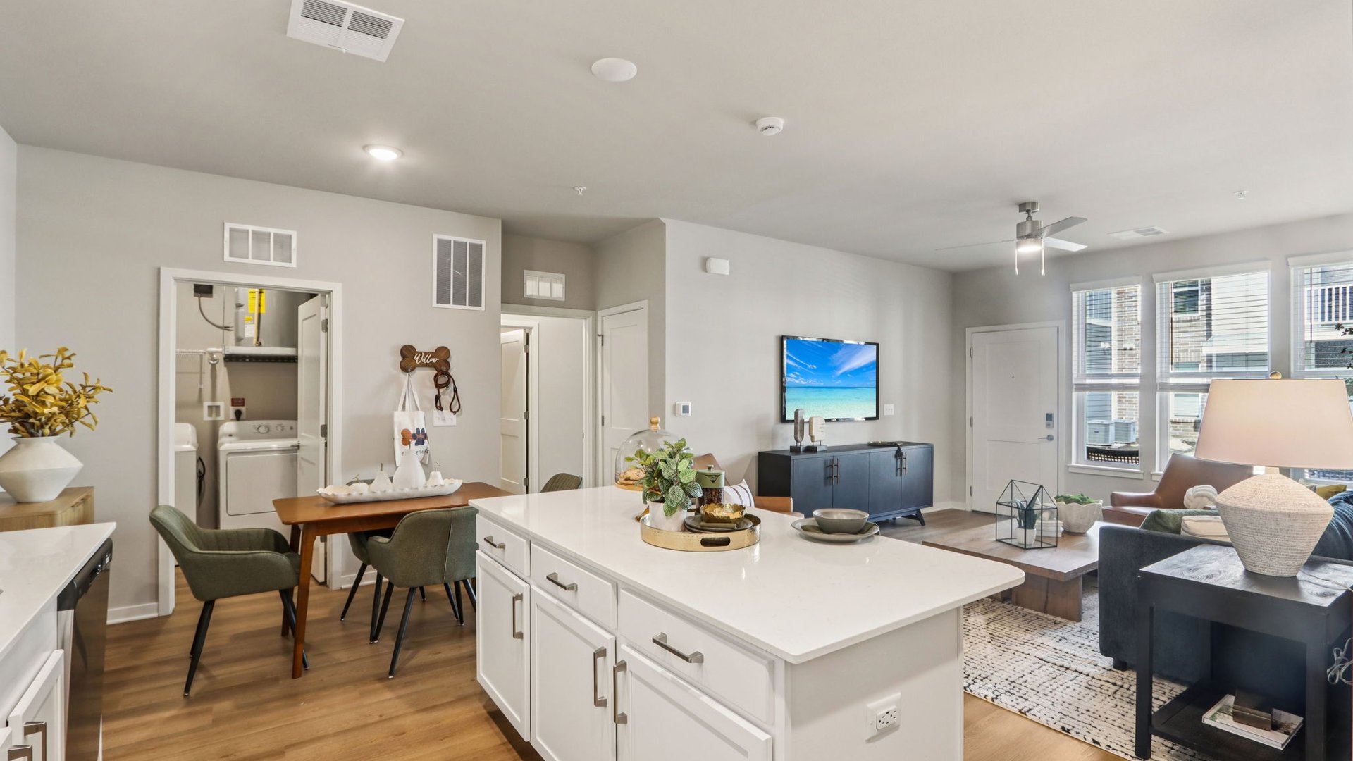 Springs at Mount Pleasant Living Arial