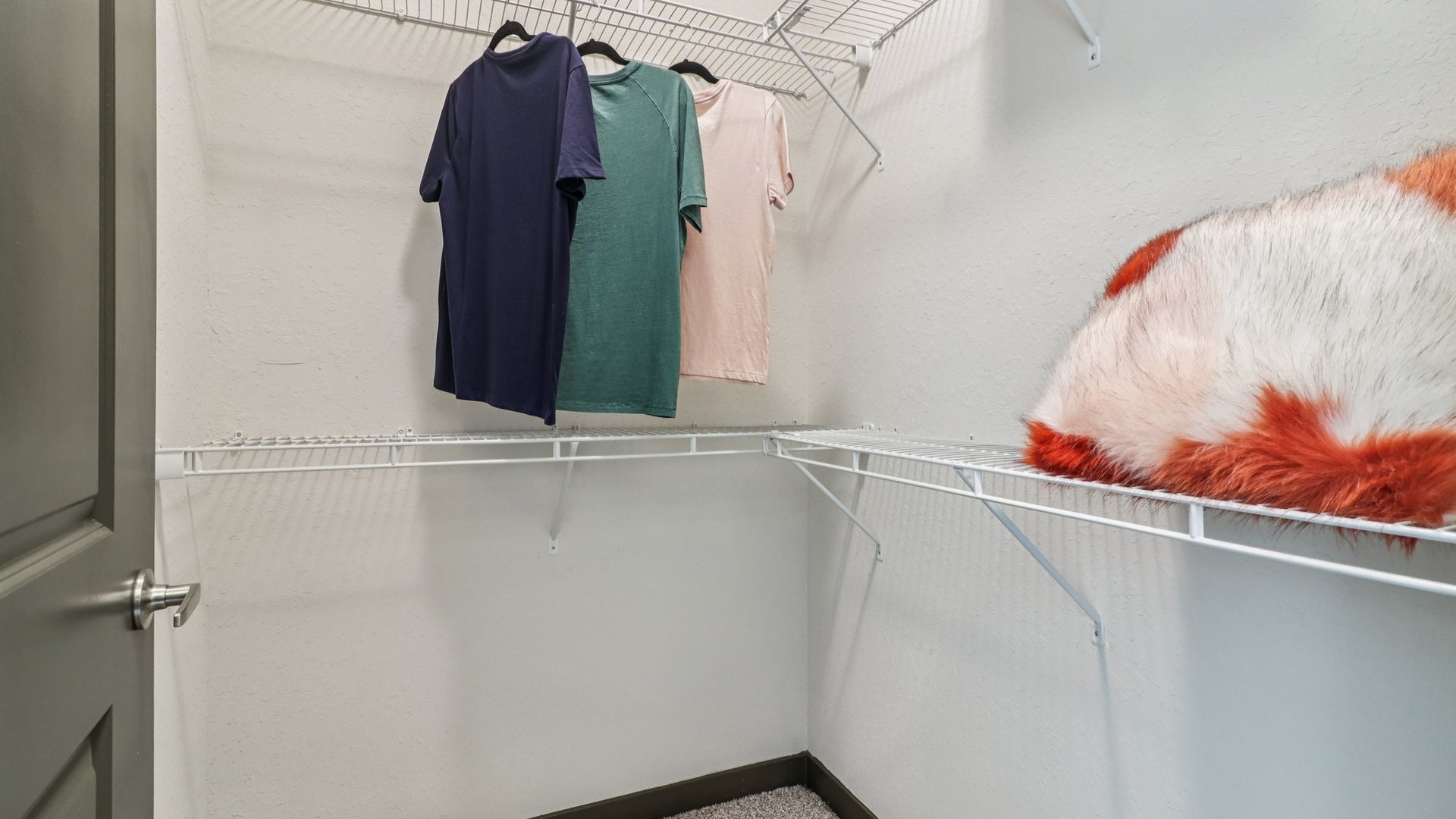 31-custom-Newnan Crossing Bypass-S1508-031