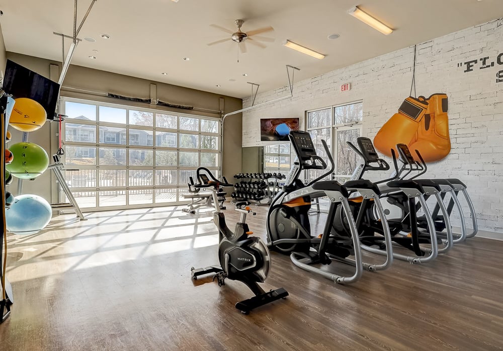 24 Hour Gym with Treadmills, balance balls, a bike and window opening up to the pool at Springs at Newnan Apartments in Georgia-34