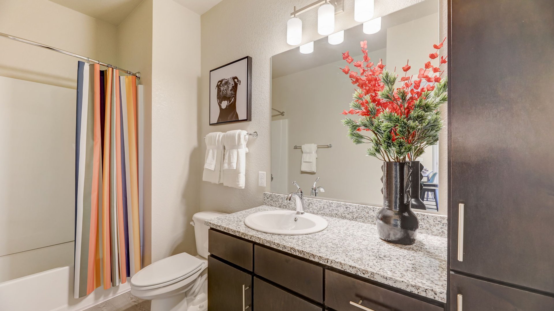 North Colorado Springs Apartments