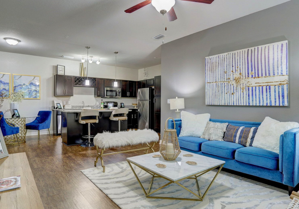 Living Room and Kitchen