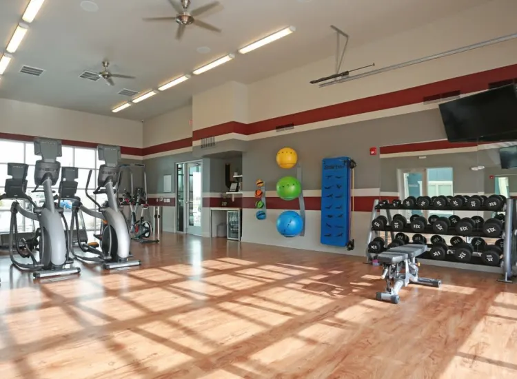 Lexington Apartments for Rent Springs at Hamburg