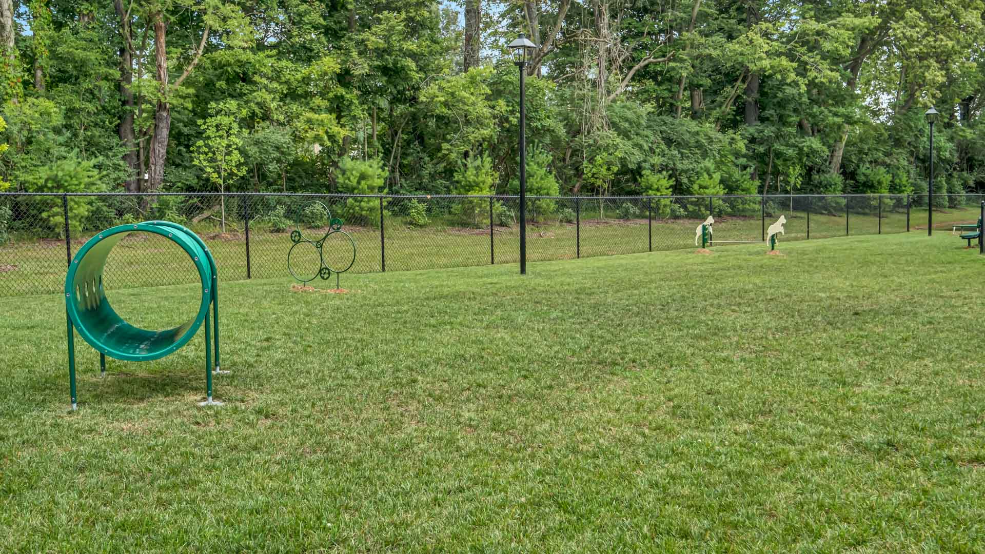 Large and Small Dog Park at Springs at La Grange Apartments in East Louisville, KY-15