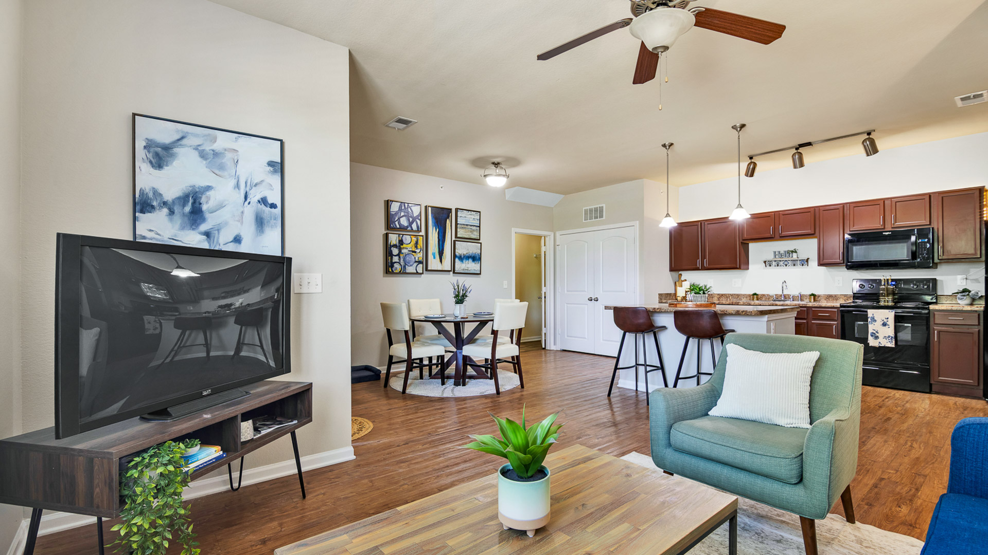 Living Room and Kitchen
