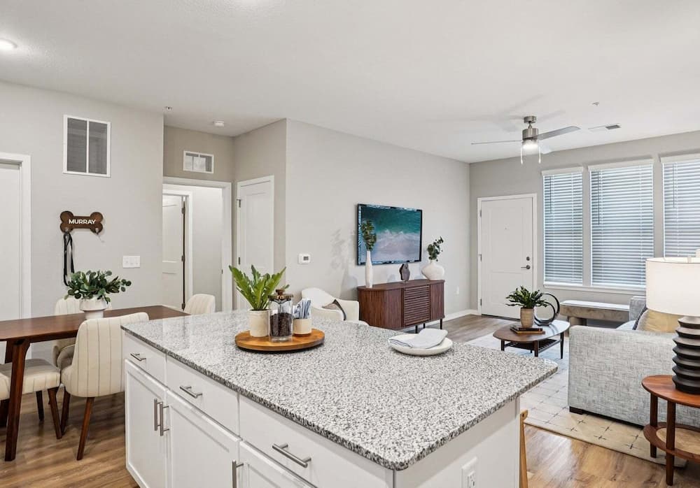 Living Room and Kitchen