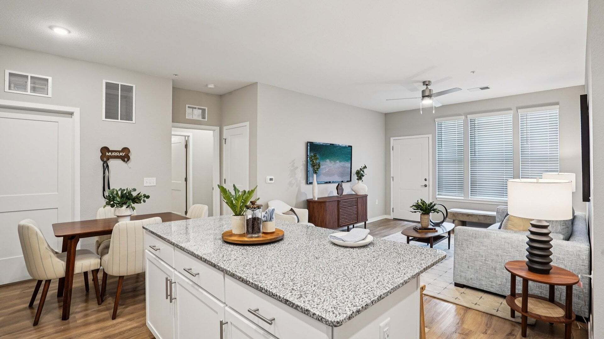 Living Room and Kitchen