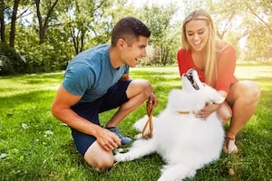 Tips for Using Fido to Make Friends